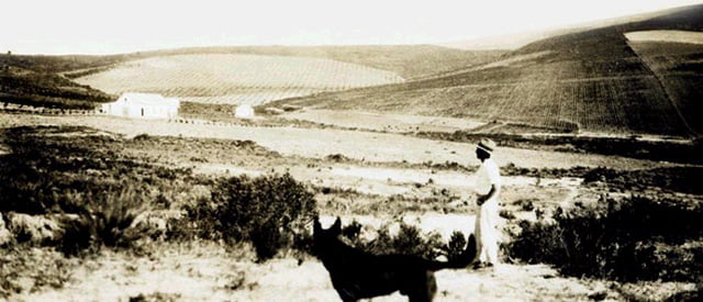 oude landgoed Jordan wines