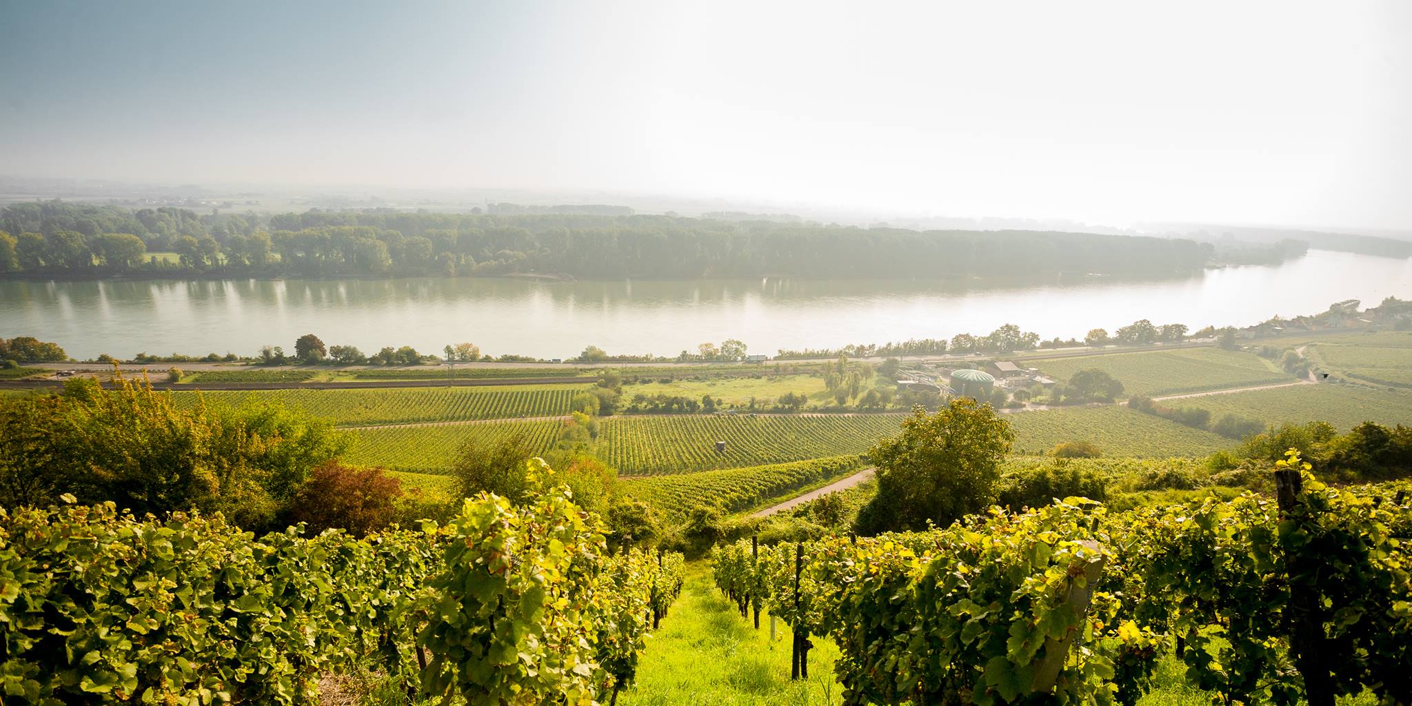 weingut rappenhof