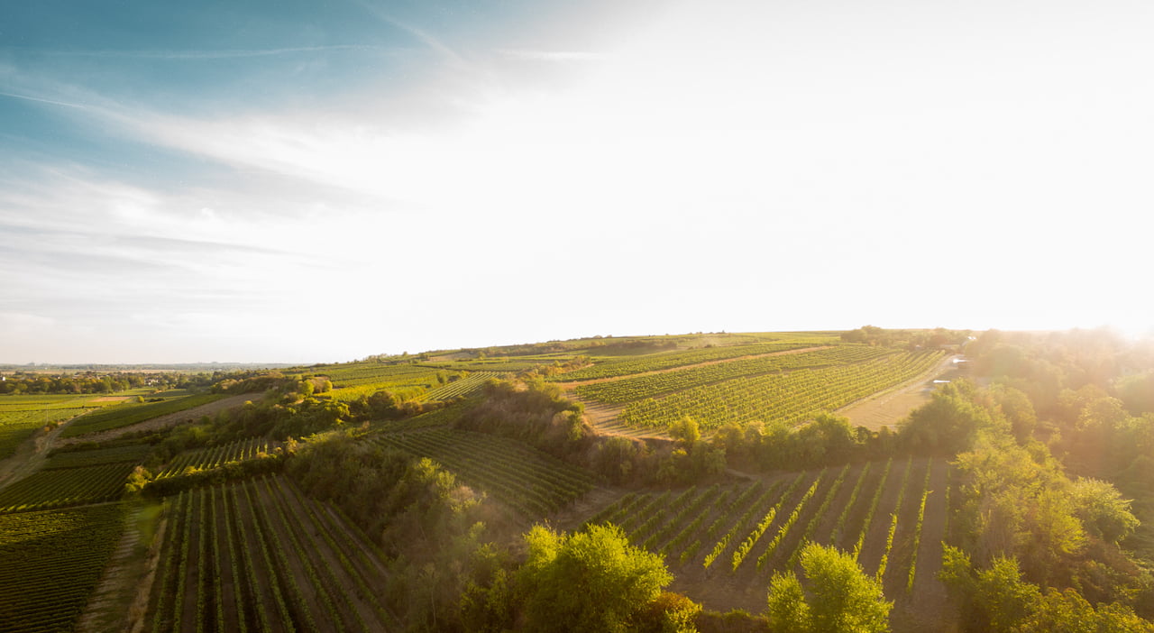 Time to Wine importeert de wijnen van Weingut Rappenhof