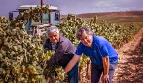 Time to Wine - Bodegas del Medievo 3de generatie