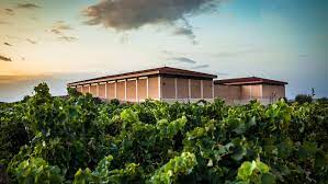 Time to Wine - Bodegas del medievo opslag